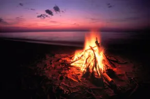 ”Beachside Haven” Charming Oceanfront Beach House - Image 3