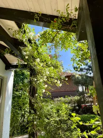 Entire home in Petrovaradin - Image 2