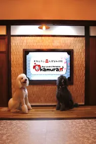 Shimanami Goten- Private rental house Max 8 guests - Image 2