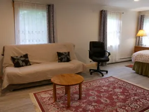 Convenient Burke 1-bedroom guest suite - Image 5