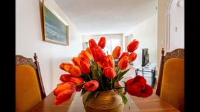 3 bedroom spacious bungalow-greenery neighborhood - Image 5