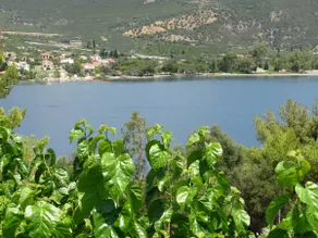 Planemi Vacation House, island of Trizonia - Image 5