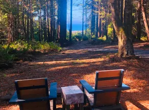 The Honeybear Cabin, Ocean-view Forest Retreat - Image 5