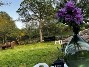 House in Ribeira Sacra with terrace and estate - Image 4