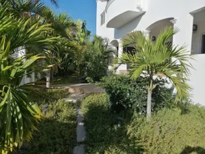 Ocean View Todos Santos Apt, Pool, and Beach Club! - Image 4