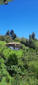Pecunia - private cabin surrounded by nature - Image 2