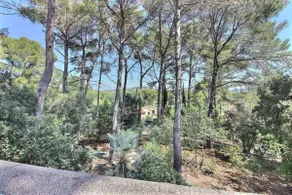 Quiet house with large wooded garden - Image 4