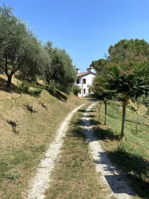 Moses' estate overlooking the Asolo hills - Image 5