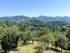 Moses' estate overlooking the Asolo hills - Image 3