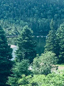 Mountain River Resort ! - Image 3