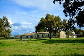 Incredible cottage in private farm for groups - Image 2