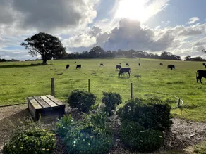Cosy 1 bedroom farm stay guesthouse - Image 3