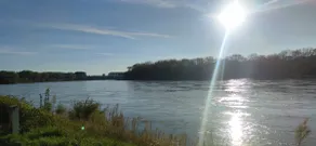 Living on the RHINE - Image 2