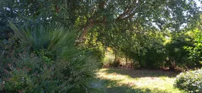 Villa 100 m² 10 mn from the ocean and 15 mn from the lake - Image 4