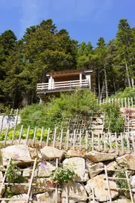 Chalet 60 Steps – Le Mont Besset - Image 4