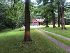 LOG  CABIN IN ZEN FOREST - Image 2