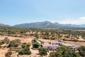Su Saucu - Image 5