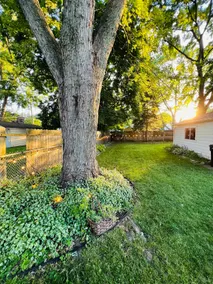 Cozy 3 BR Haven w Open Kitchen & Sunny Office - Image 2