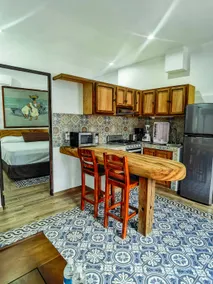 1 Bedroom Apartment, Sofa, Historic Center - Image 4