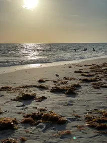 Cozy Coastal Retreat 6 minutes to the Beach - Image 3