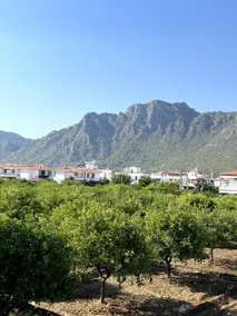New, close to the sea-center, 1+1 apartment with balcony - Image 4