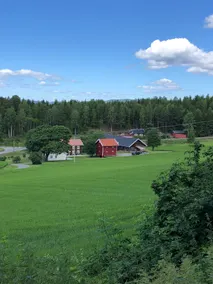 Cozy detached house on a farm - Image 2