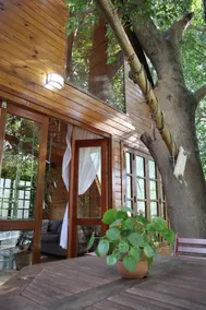 Cabin in a magical place - Nature retreat in SP - Image 4