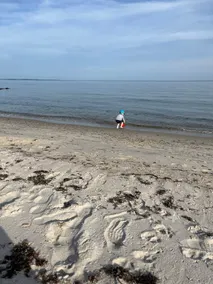 Beach Home with View - Image 4