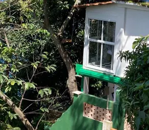 Casa dos Micos, Vidigal - Image 3