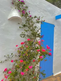 Sa Tanca, Fantástica casa en cala Saona - Image 4