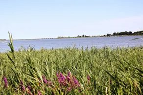 Beautiful View Cottage - Image 4