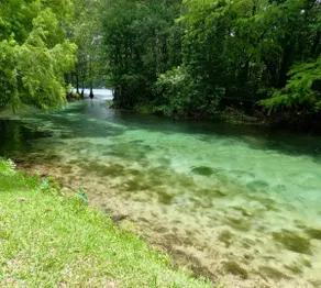 Rainbow River Hideaway - private park river access - Image 3