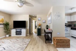 The Sunshine House - Image 4