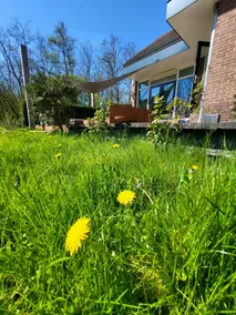 Villa in the forest of Amsterdam with Pool - Image 3