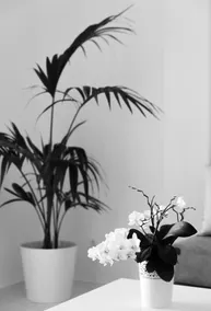 Aqua's Sunshine, quiet apartment in Adamas, Milos - Image 4