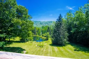 Catskills chalet-private swimming pond - Image 2