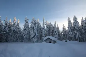 Guesthouse and sauna cabin - Image 3