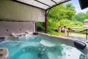 Hocking Hills Renovated 1850's Log Cabin w Hot Tub - Image 3