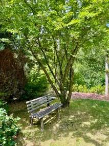 Bude 101 - Dream house in the middle of the Palatinate Forest - Image 5