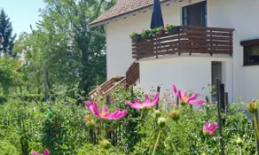 Apartment Murva -13 Min from Plitvice Lakes with parking and terrace - Image 4