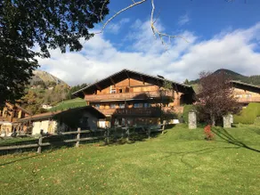 Wonderful apartment overlooking the Swiss alps - Image 4