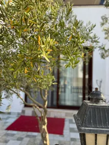 Lovely detached private house in Bodrum Bogazici - Image 3