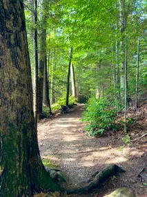 Garden Retreat in New England Near Lake & Trails - Image 4