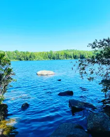 Garden Retreat in New England Near Lake & Trails - Image 5