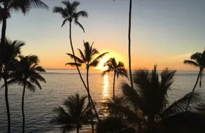 ”Majestic Waters” Beautiful Beachfront w/ Views! - Image 5