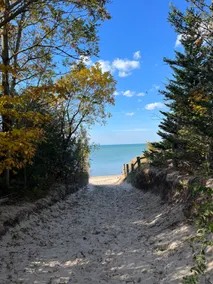 Acre Forest Oasis Next To Lake Huron - Image 3