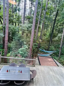 Acre Forest Oasis Next To Lake Huron - Image 5