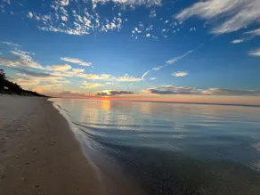 Acre Forest Oasis Next To Lake Huron - Image 2