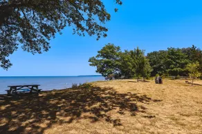 Avalon Cottage - Image 2