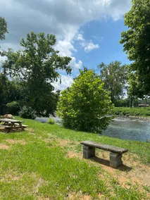 Relaxing waterfront studio on the Watuaga river! - Image 4